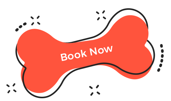 https://dogshotelcy.com/wp-content/uploads/2019/08/book_now.png