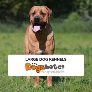 https://dogshotelcy.com/wp-content/uploads/2024/03/large-dog-kennels-800x800-1-300x300.jpg