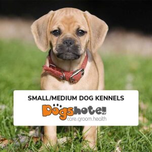 https://dogshotelcy.com/wp-content/uploads/2024/03/small-medium-dog-kennels-800x800-1-300x300.jpg